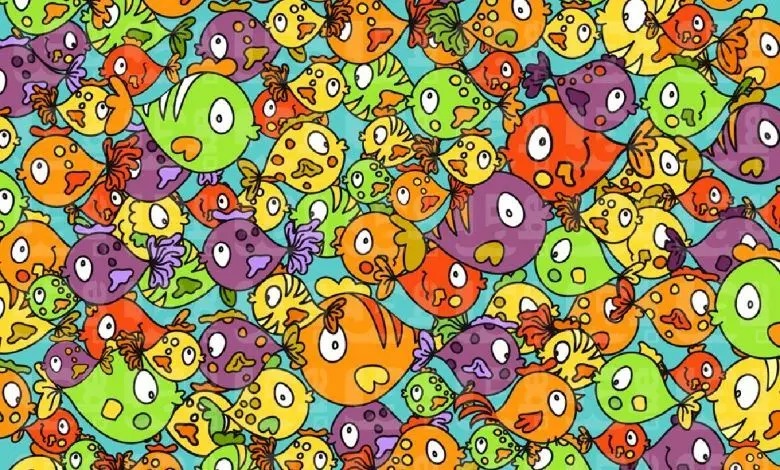 تست بینایی/ مرغ پنهان شده در میان ماهی‌ها را  در ۸ ثانیه پیدا کنید