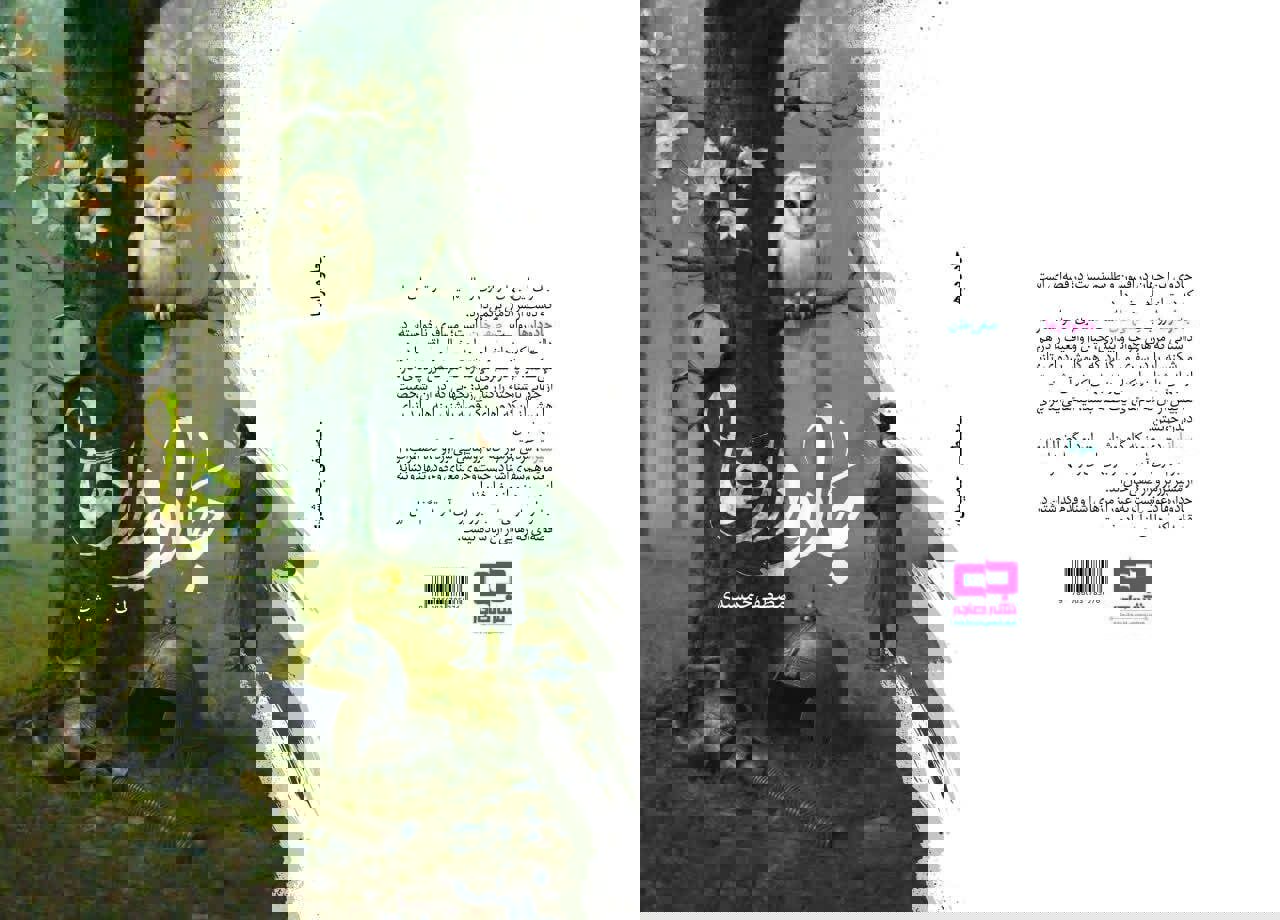 «جادودارها» رمانی برای مکث در روایت، نه شتاب در داستان