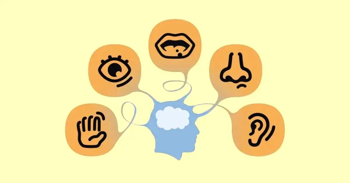 کشف شگفت‌انگیز دانشمندان؛ انسان ۳۳ حس دارد، نه ۵ تا!