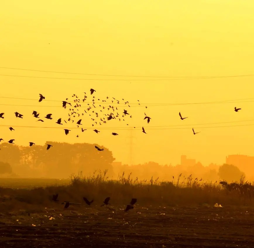 صدور هشدار زرد آلودگی هوای در پایتخت