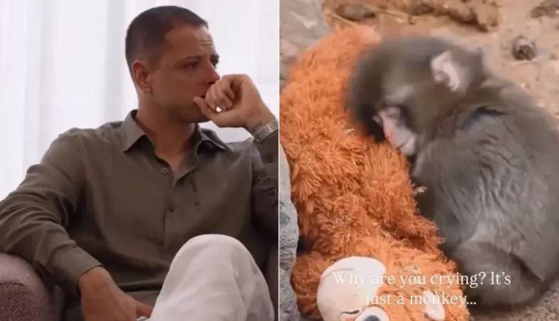 «پانچ» اشک چیچاریتو را درآورد!