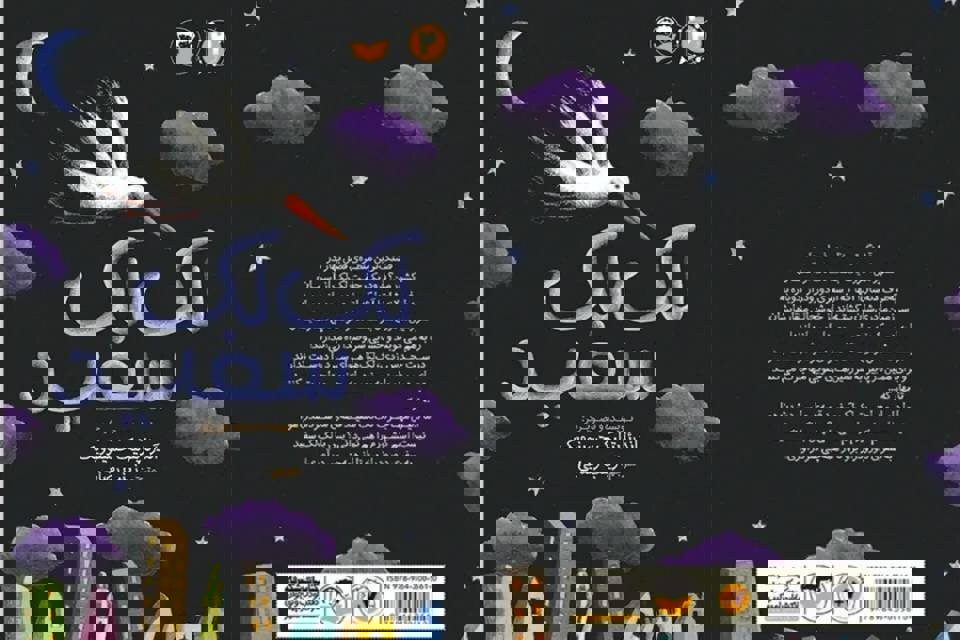 مهاجرت اجباری، رنگ زندگی را می‌گیرد