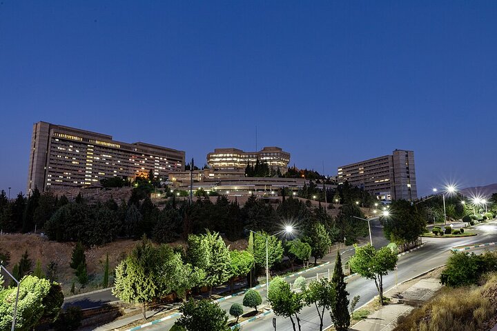 آریا جوان