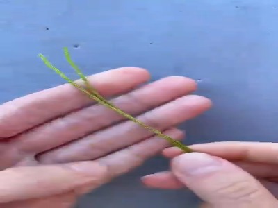 دستبند خوشگل بباف