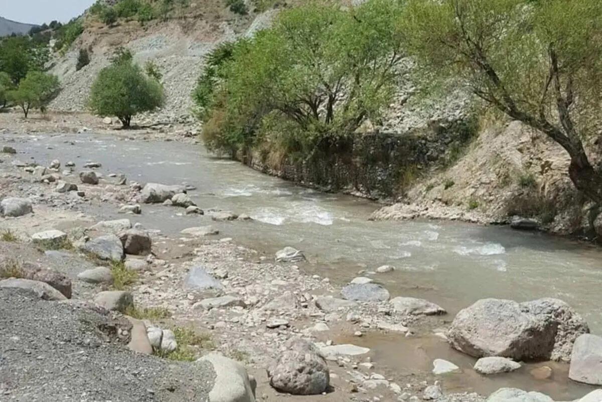 آریا جوان