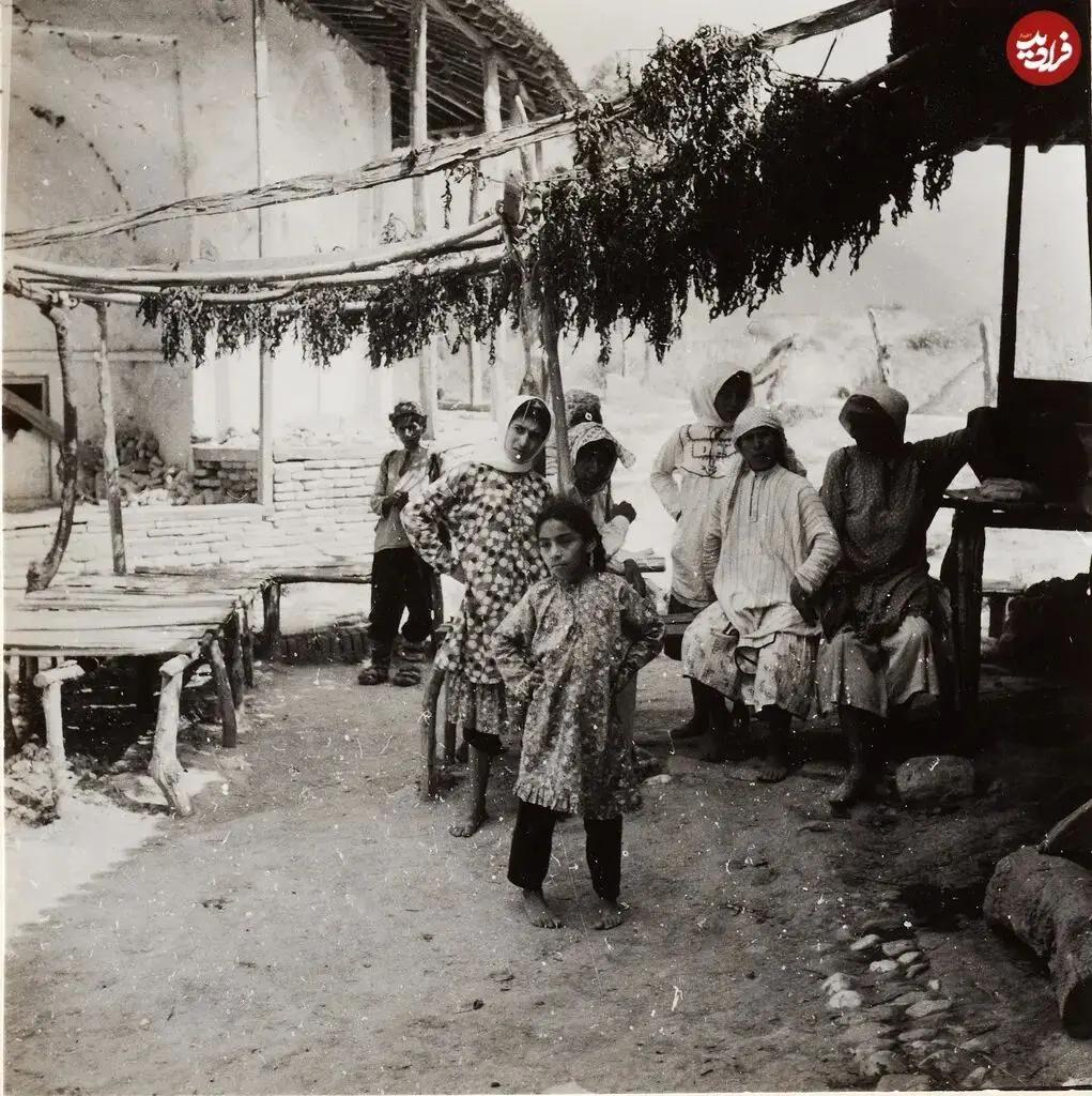 آریا جوان