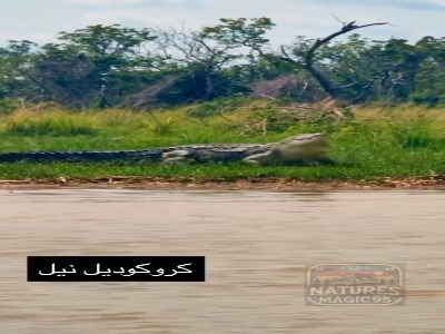 شگفتی های آفریقا که تاحالا ندیدی