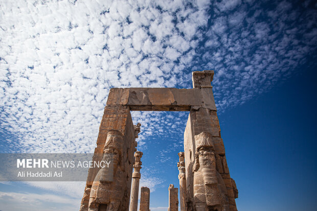 آریا جوان