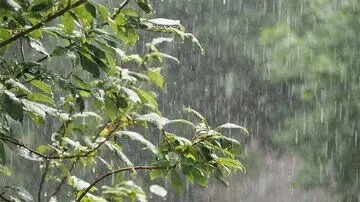پیش‌بینی بارش باران و وزش باد شدید در برخی مناطق کشور