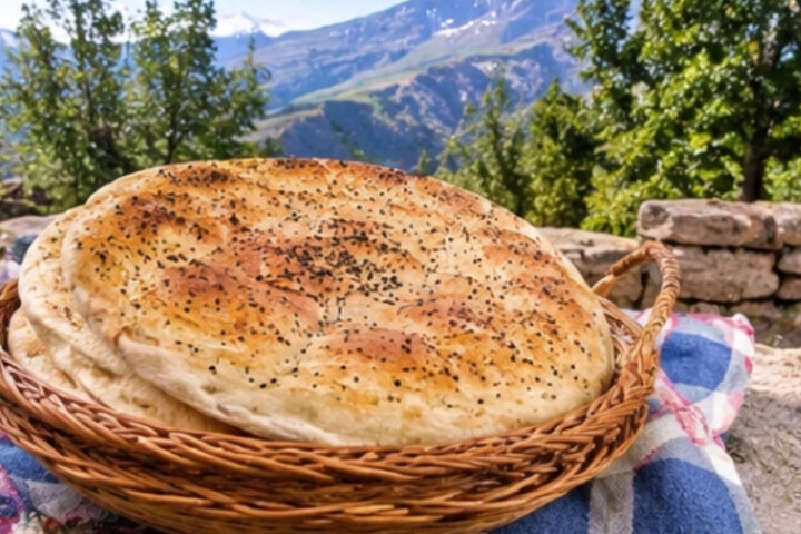 آریا جوان