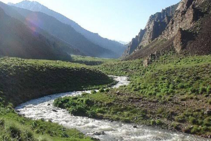 آریا جوان